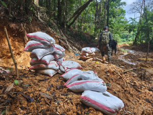 Obispos sobre Crucitas: soluciones deben ser integrales