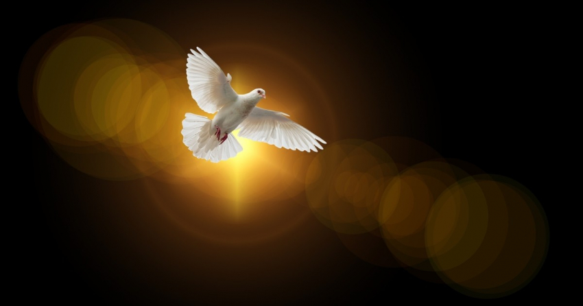 Sagradas Escrituras: El Espíritu Santo