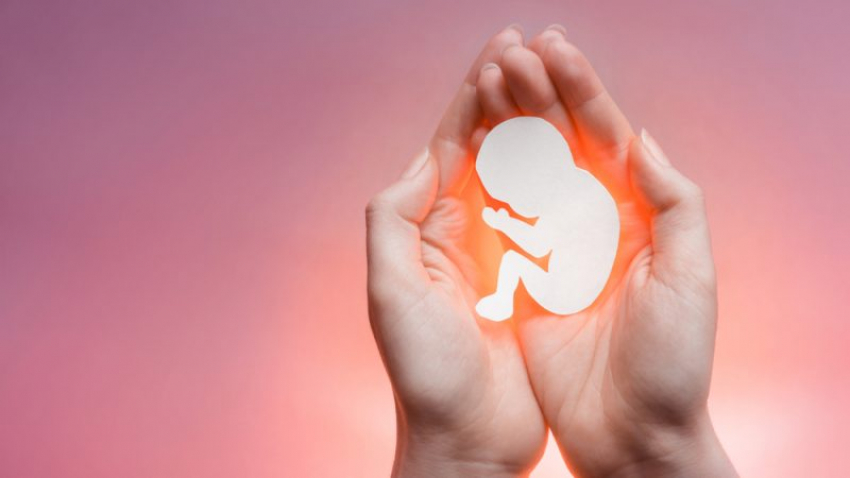Día de la Vida por Nacer: &quot;El aborto es un drama en todos los órdenes&quot;