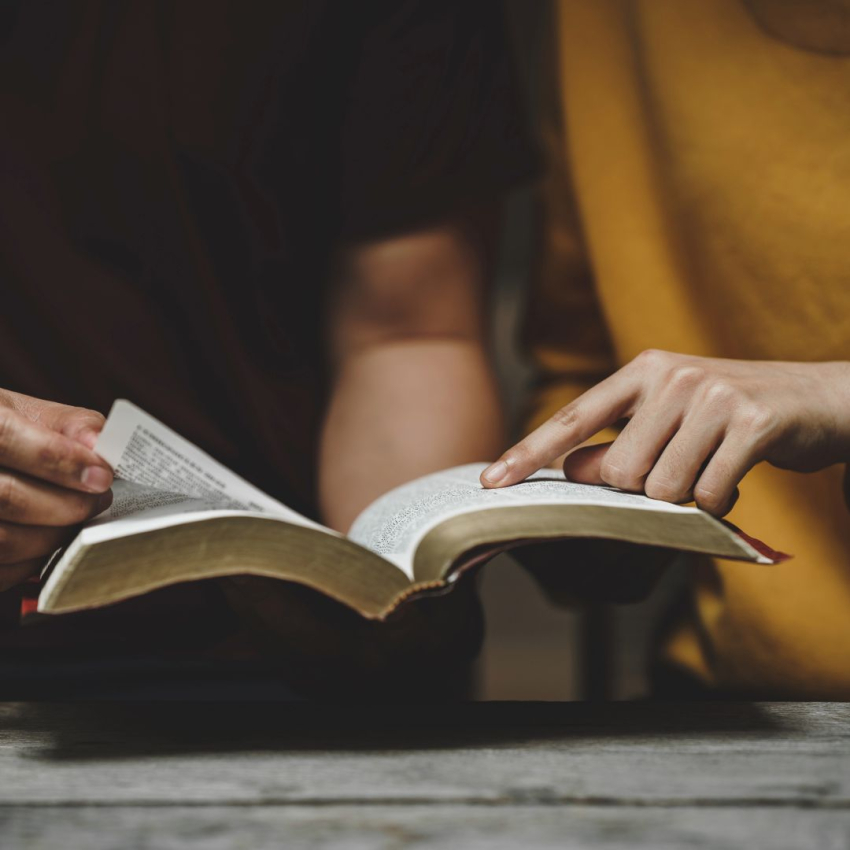 Guiados por la Palabra