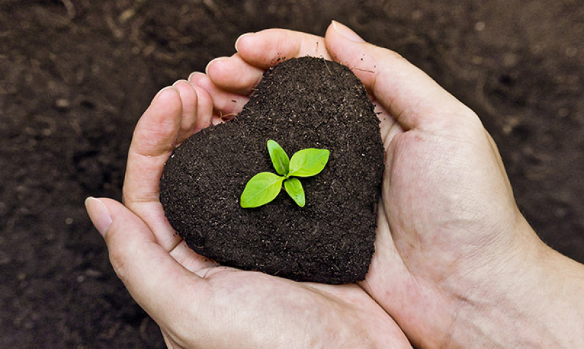 Cualquier daño al medio ambiente es hecho a la humanidad