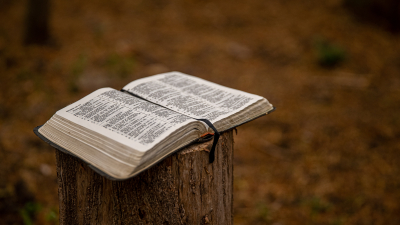 Tus dudas: ¿Cómo debemos venerar la Sagrada Escritura?