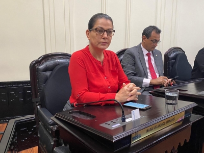 Nunciatura desmiente a diputada María Vita Monge