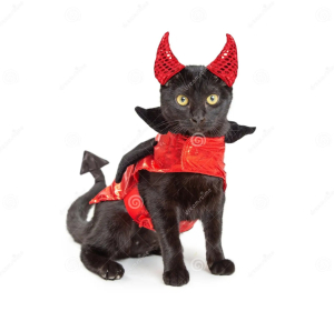 &iquest;Un Papa declar&oacute; que los gatos eran diab&oacute;licos?