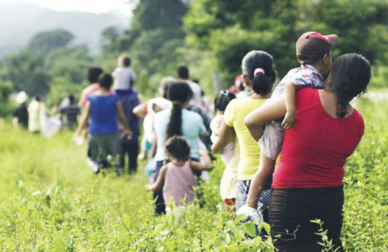 Consultorio Jurídico gratuito ha ayudado a más de 35 mil migrantes