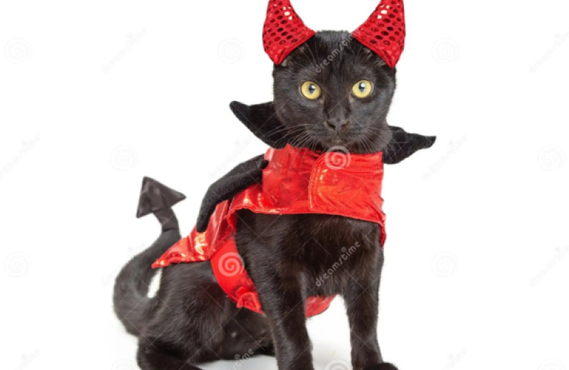 ¿Un Papa declaró que los gatos eran diabólicos?