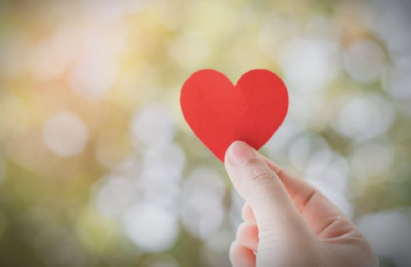 El amor se poda se pule y se recrea