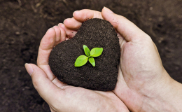 Cualquier daño al medio ambiente es hecho a la humanidad