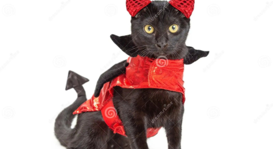 ¿Un Papa declaró que los gatos eran diabólicos?
