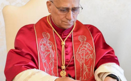 Lanzan subsidio pastoral para la encíclica Magnifica Humanitas